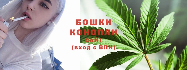 МДПВ Снежногорск