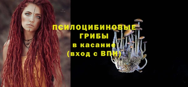 СК Пестово