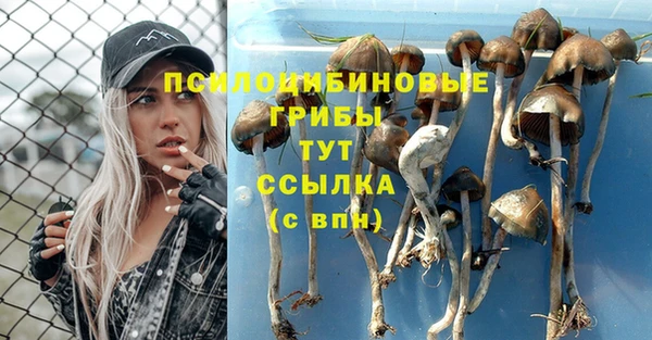 каннабис Пересвет