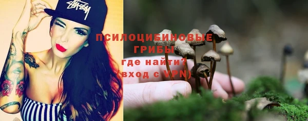 СК Пестово