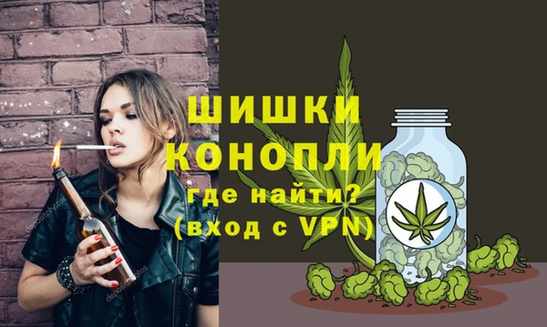 СК Пестово