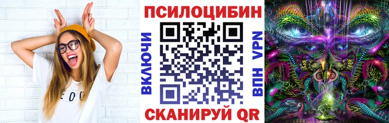 где продают наркотики  Богородицк  Галлюциногенные грибы прущие грибы 
