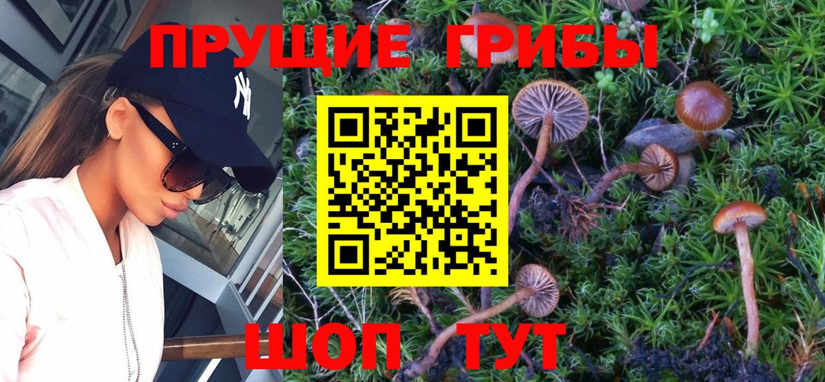 Галлюциногенные грибы мицелий Богородицк