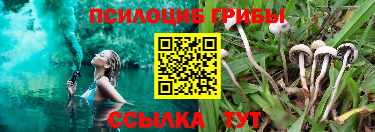 Псилоцибиновые грибы Cubensis  Галлюциногенные грибы прущие грибы  хочу наркоту  Богородицк  Вход с VPN 