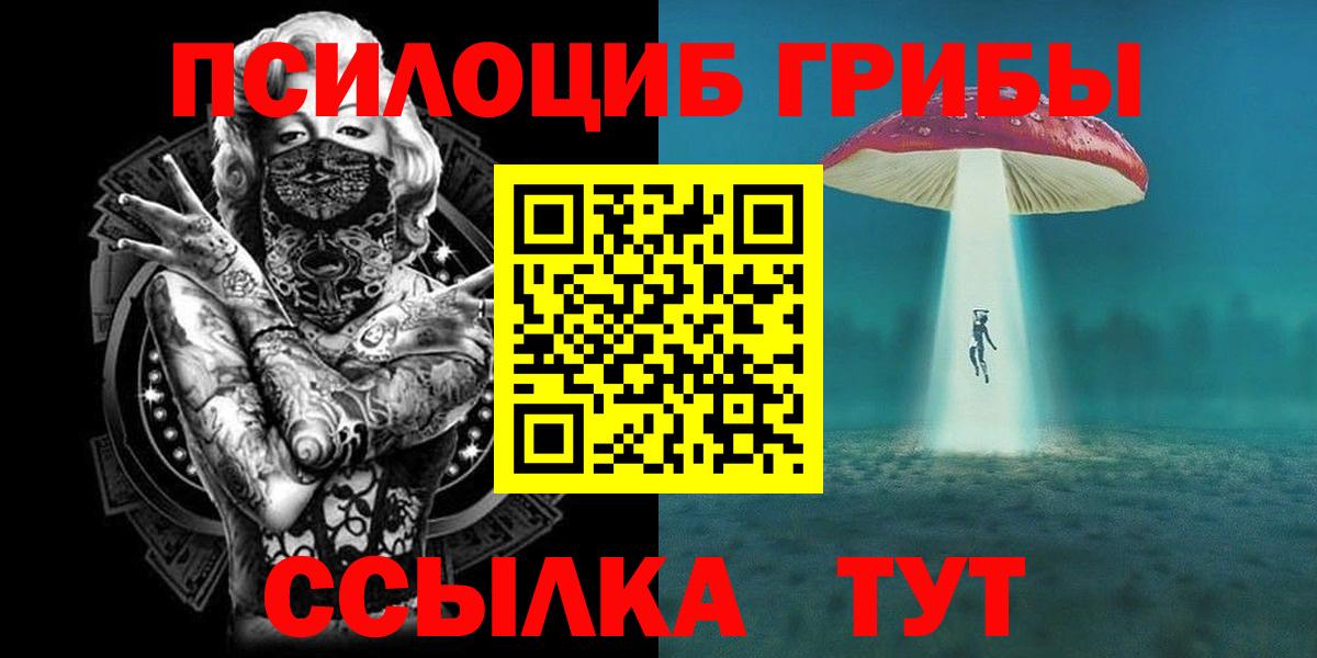 Псилоцибиновые грибы GOLDEN TEACHER Богородицк